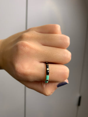 
                  
                    Load image into Gallery viewer, Icarus Enamel Black/Mint Two-In-One Ring
                  
                
